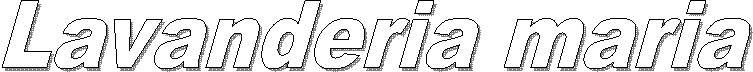 Lavanderia maria